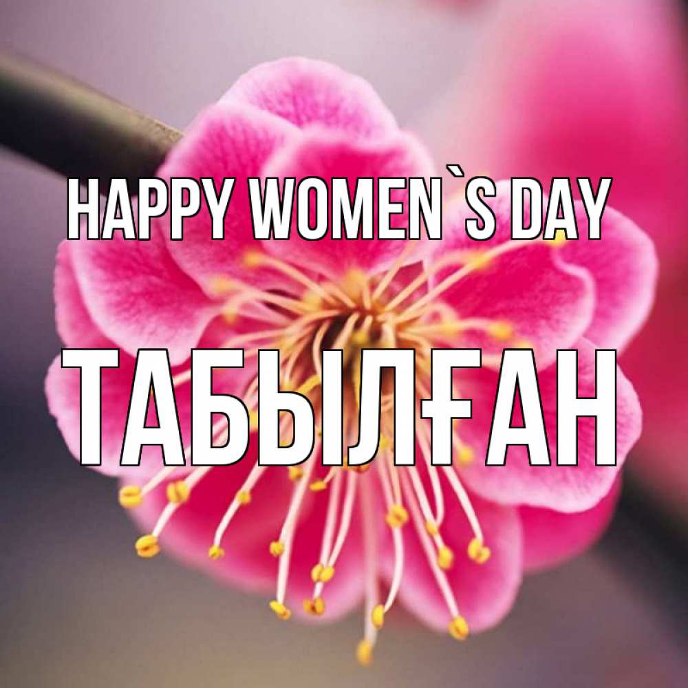 Greetings card с именем, ТАБЫЛҒАН happy women`s day цветы Greetings with text for free download 